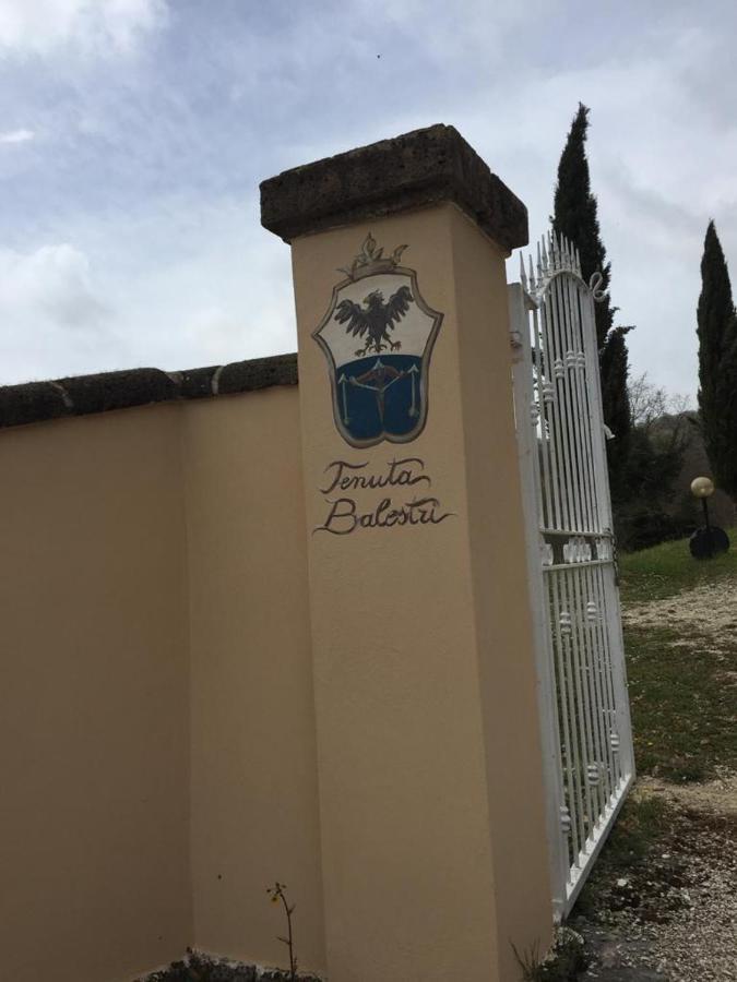 Podere Poggio Lupinaio San Martino sul Fiora エクステリア 写真