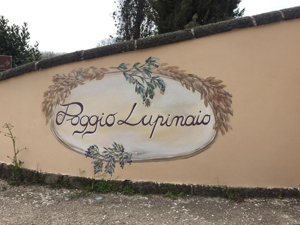 Podere Poggio Lupinaio San Martino sul Fiora エクステリア 写真
